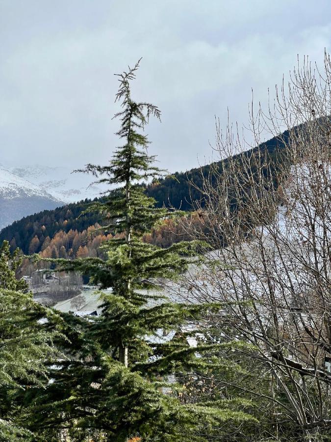 Il Pettirosso - Casa Vacanze Bormio Kültér fotó